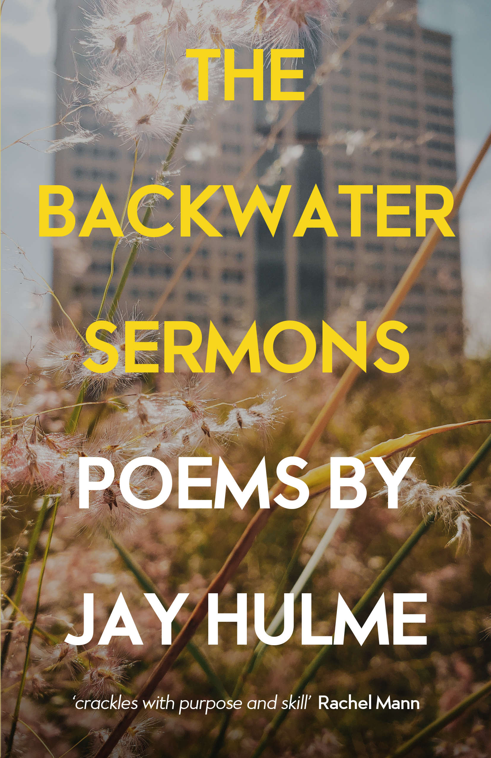 The Backwater Sermons book cover